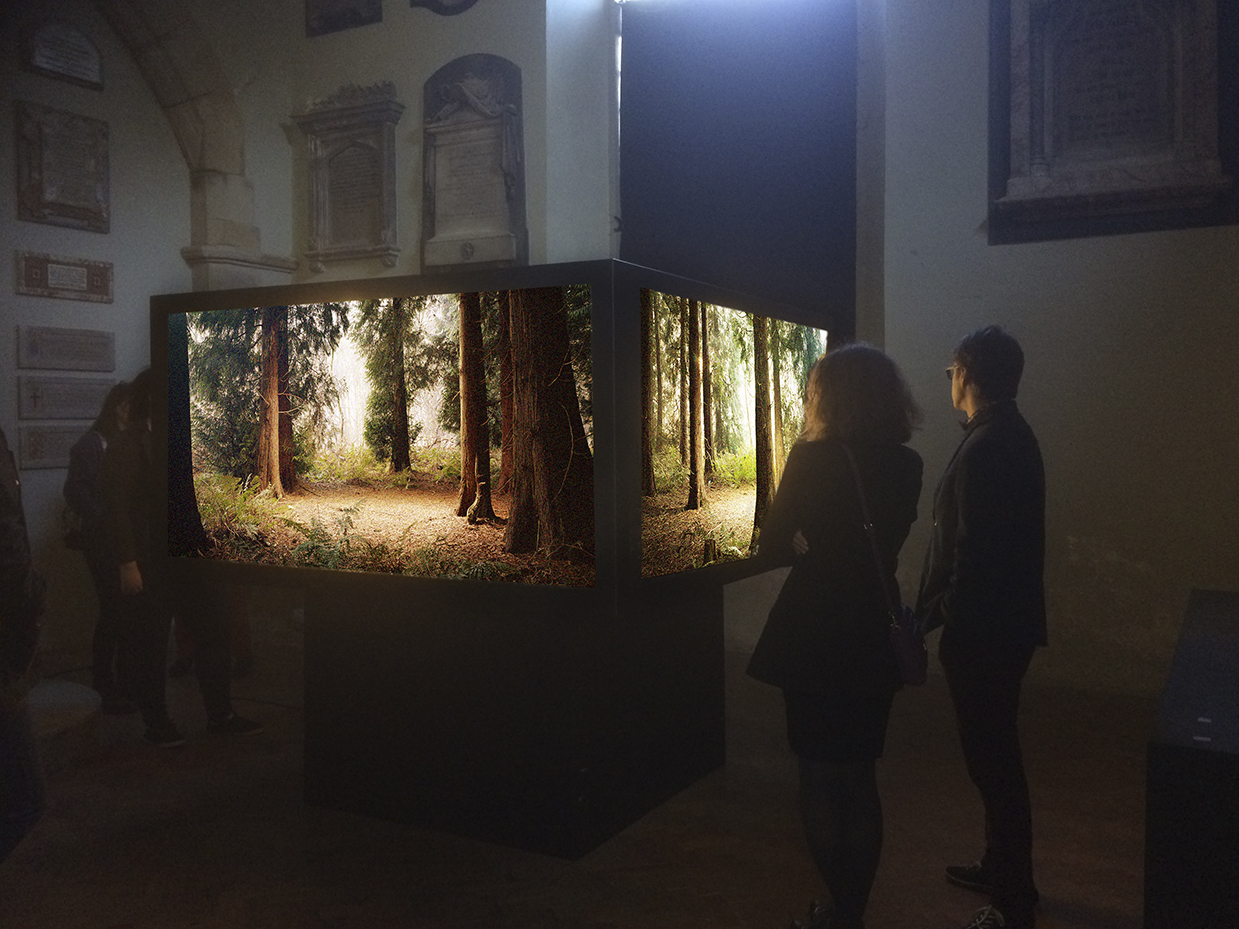 St Werburgh's Chapel