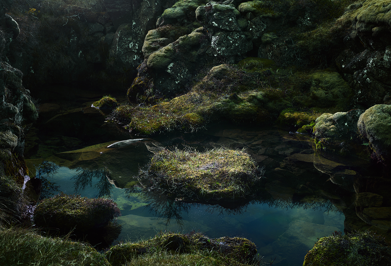 Pingvellir Moss Pond #1 2009