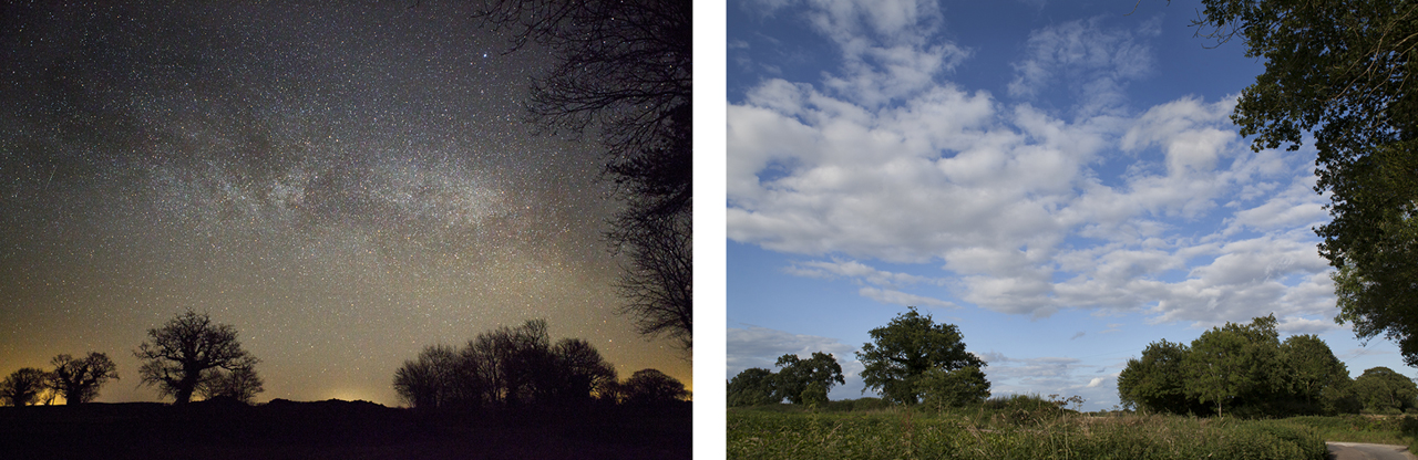 Six Months (2017) 90cm x 45cm Digital C Type